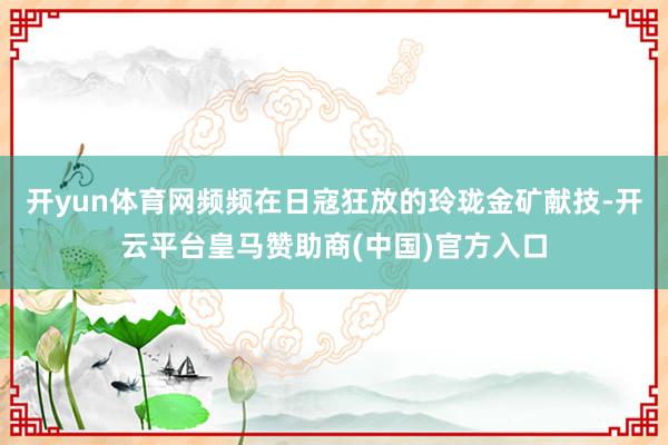 开yun体育网频频在日寇狂放的玲珑金矿献技-开云平台皇马赞助商(中国)官方入口