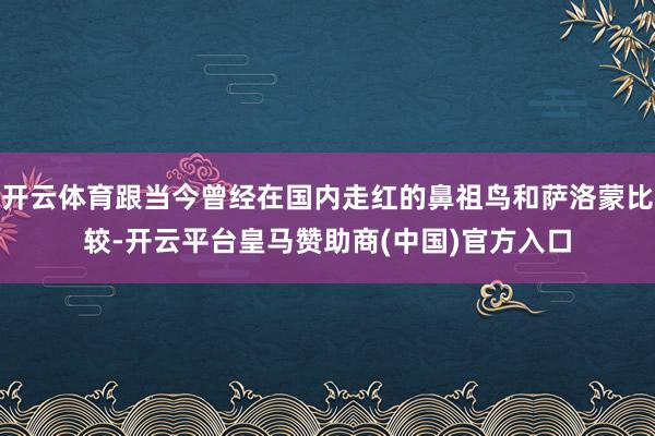 开云体育跟当今曾经在国内走红的鼻祖鸟和萨洛蒙比较-开云平台皇马赞助商(中国)官方入口